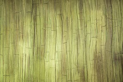 Textured Finish on Exterior Walls