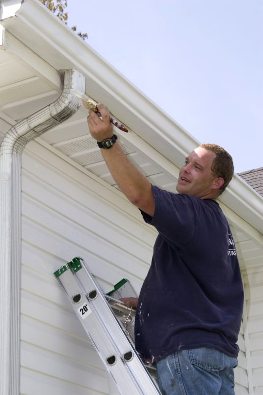 Paint Gutters